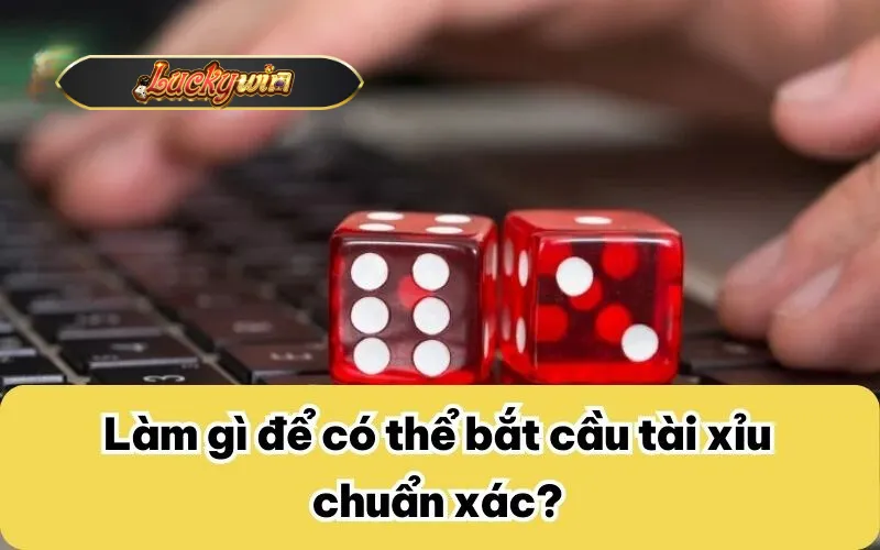 Làm gì để có thể bắt cầu tài xỉu chuẩn xác?