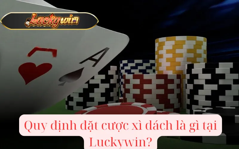 Quy định đặt cược xì dách là gì tại Luckywin?